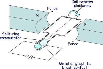 Coil rotates clockwise Force Split-ring commutato Force Metal or
 graphite brush contact 